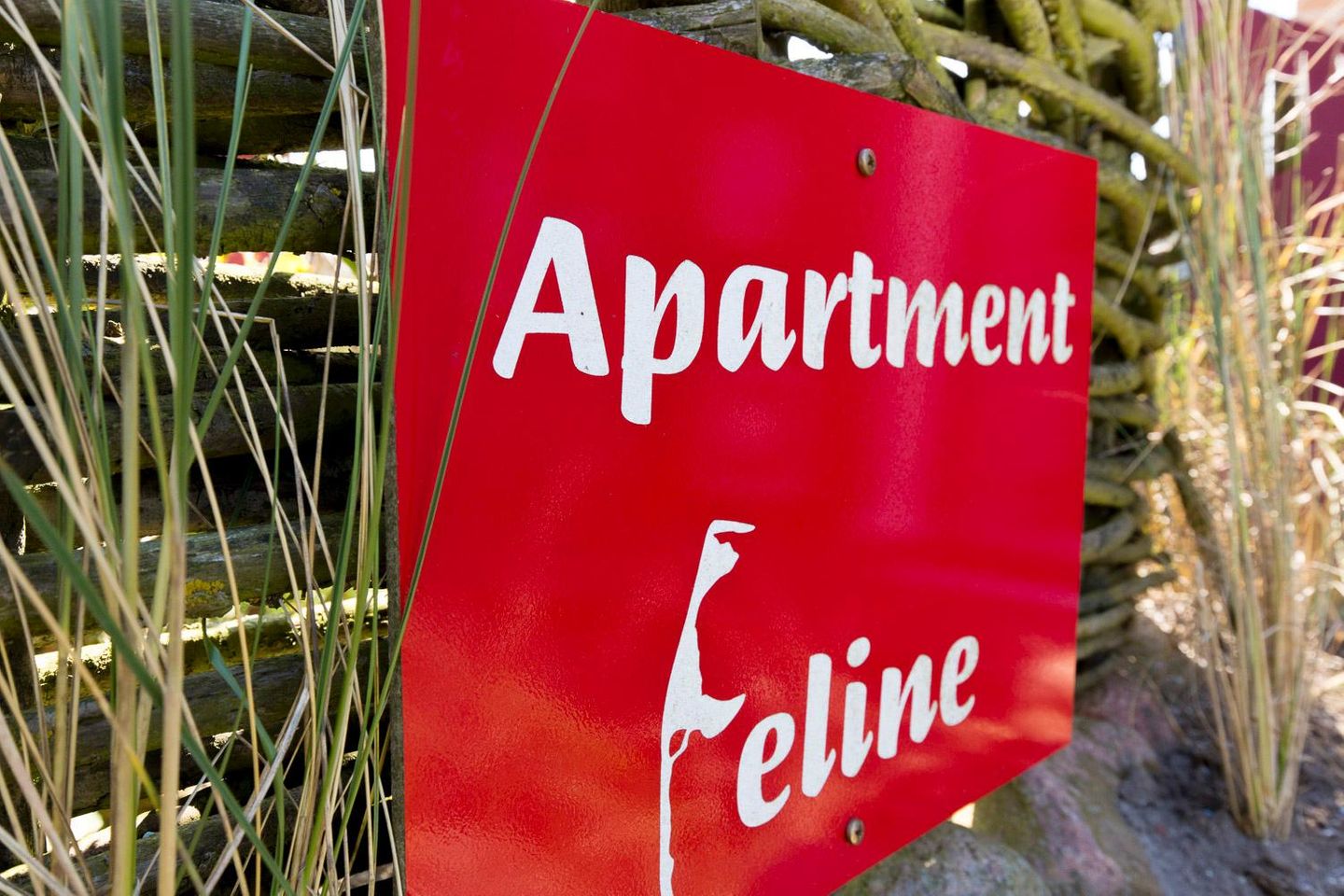  Feline Hochkamp 10 B Wenningstedt - Dekoratives Detail