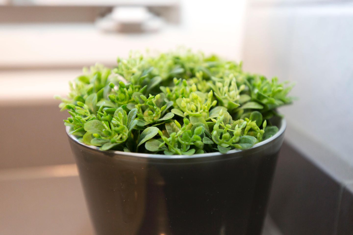 Claas App. 01 Im Grund 28 B Wenningstedt - Dekoratives Detail