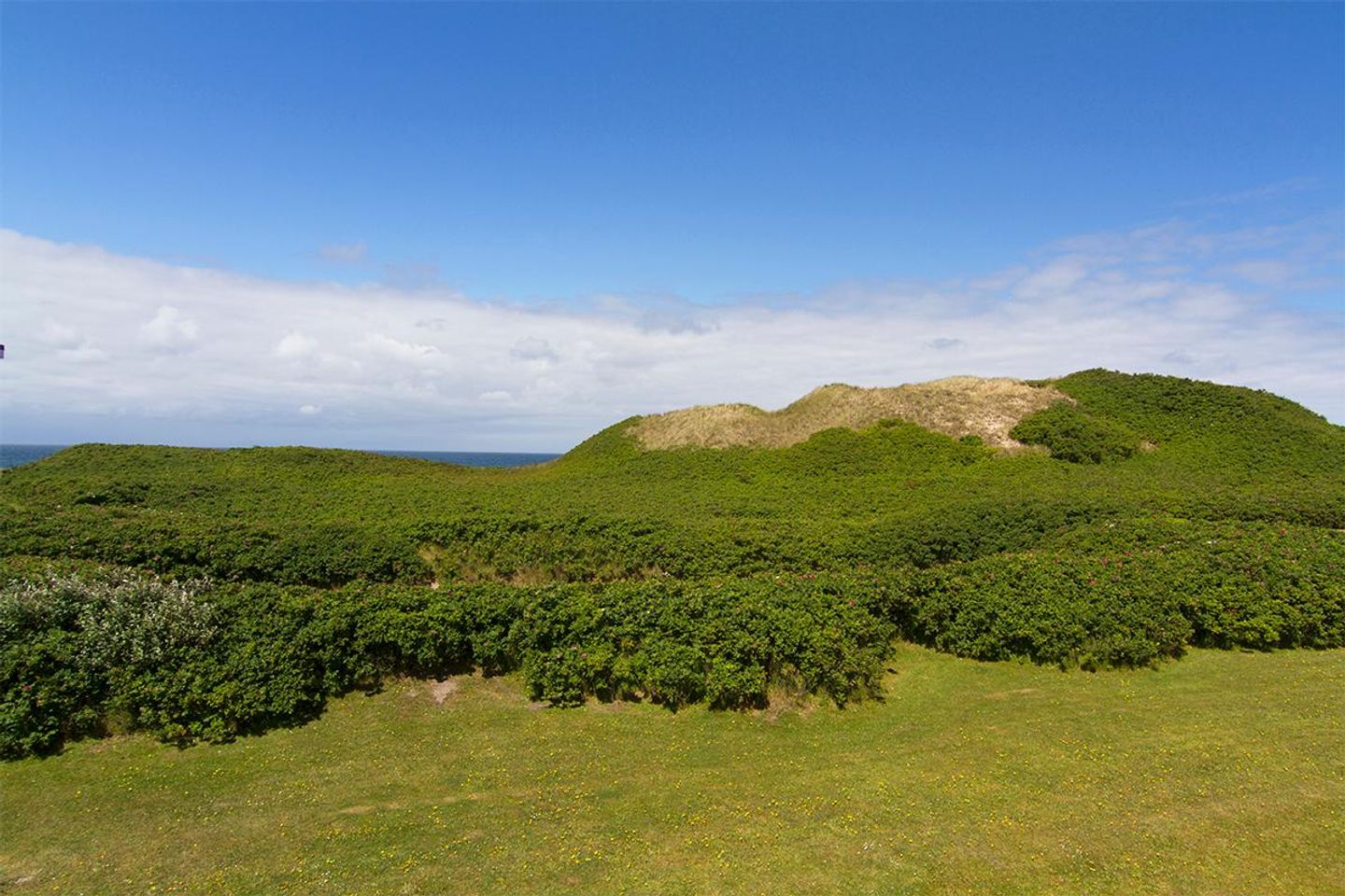  Seedüne OG rechts Seedüne 6 C Wenningstedt - Meerblick