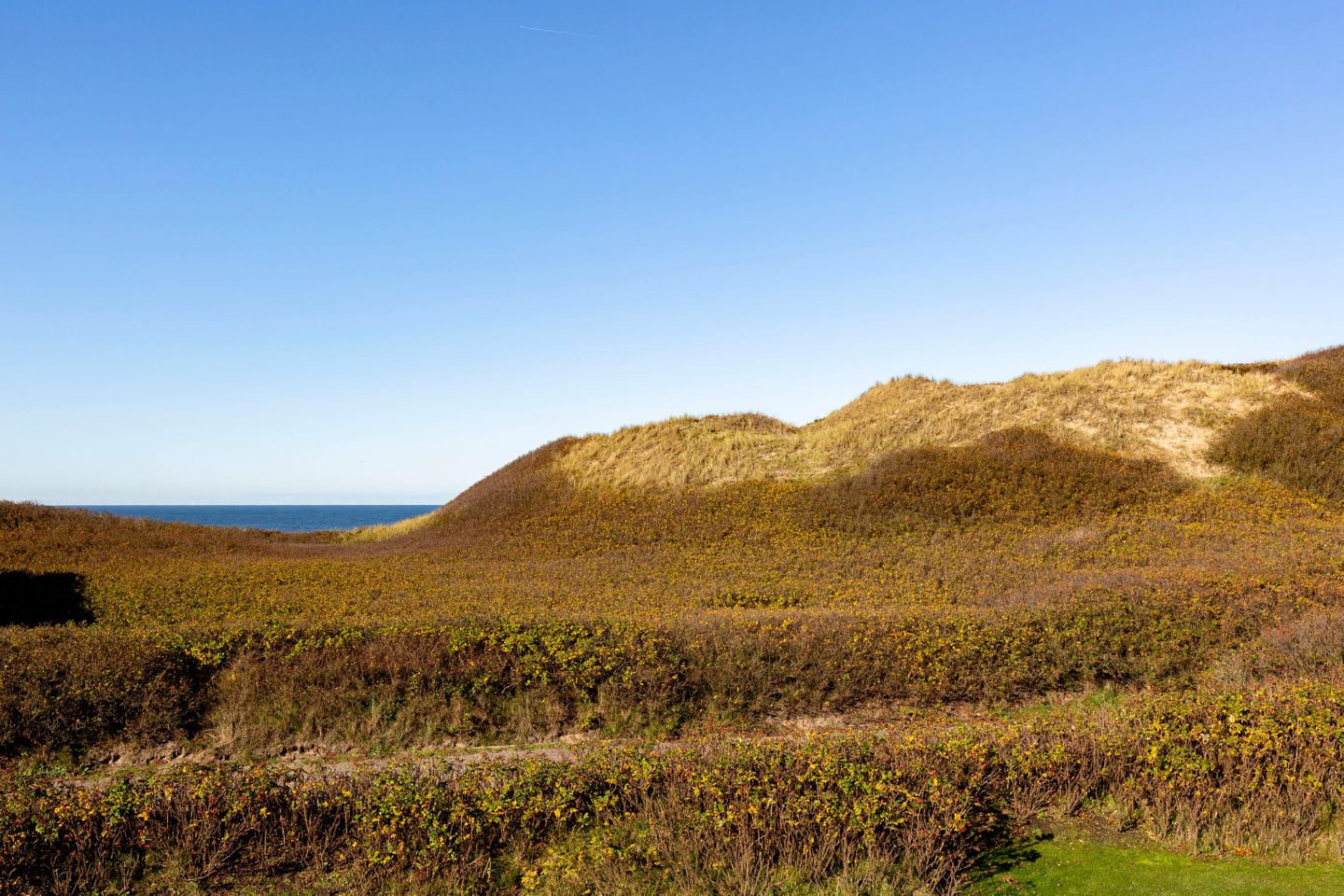  Seedüne OG rechts Seedüne 6 C Wenningstedt - Meerblick