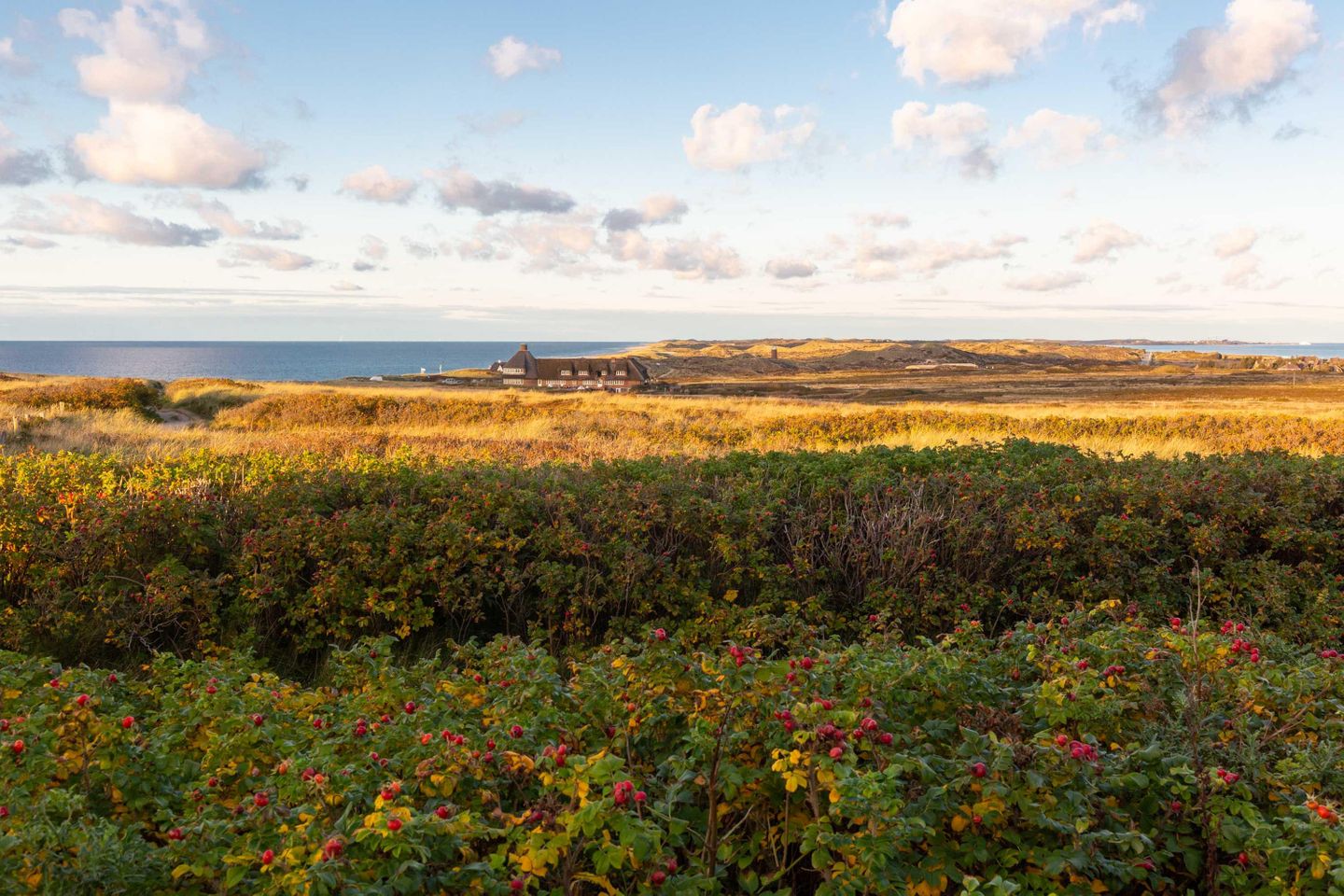  Norderhof App. 05 Kurhausstrasse 39 Kampen - Strand