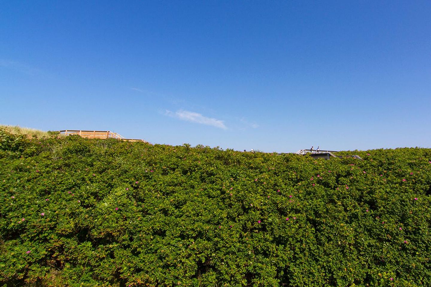  Sturmfried Nr. 10  B.-Bleeg-Str. 27 B Wenningstedt - 