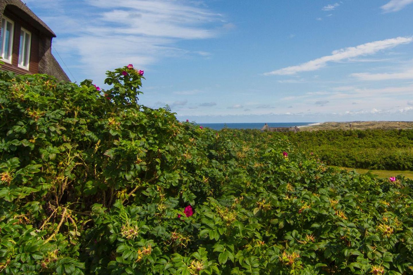  Norderhof App. 02 Kurhausstrasse 39 Kampen - Meerblick