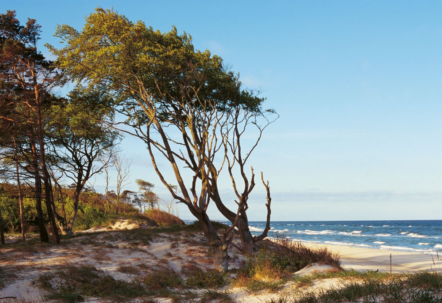  Hafenstrasse  41a "Haus Marienlinde" Deutschland - 