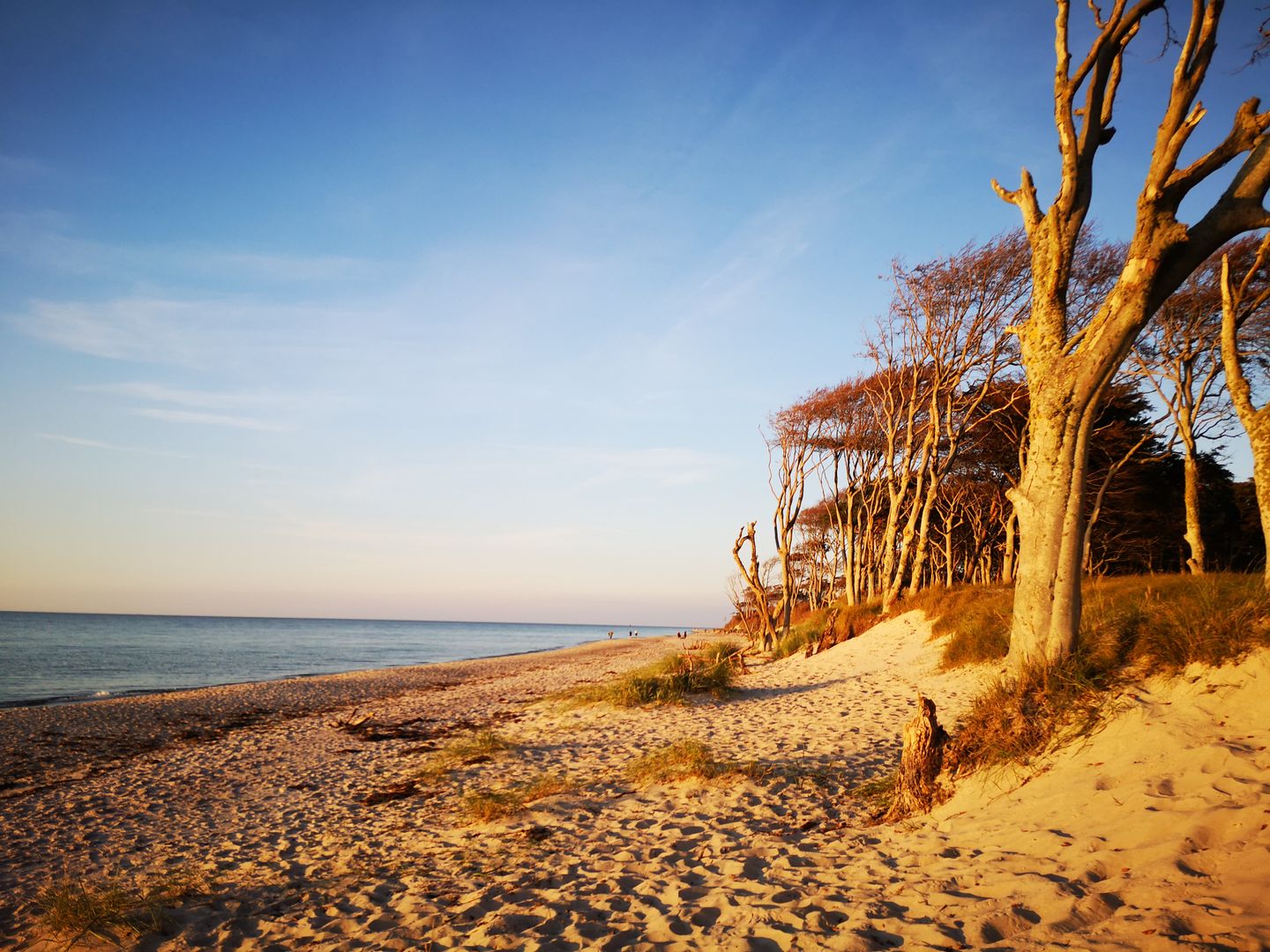  Hafenstrasse  41a "Haus Marienlinde" Deutschland - 
