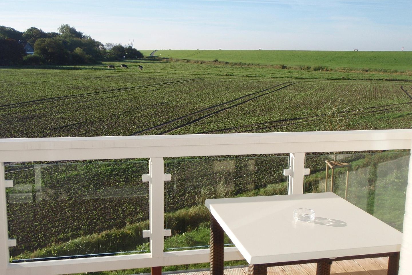 Resort Deichgraf Resort Deichgraf 31-09 Wremen - Balkon mit Gartenmöbeln