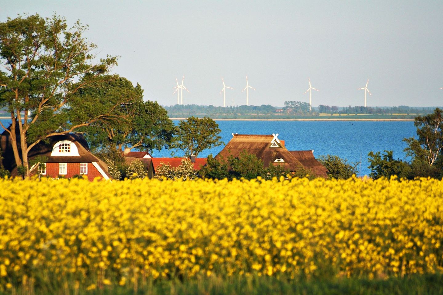  Seestrasse 54 App. 304 Deutschland - Landschaft