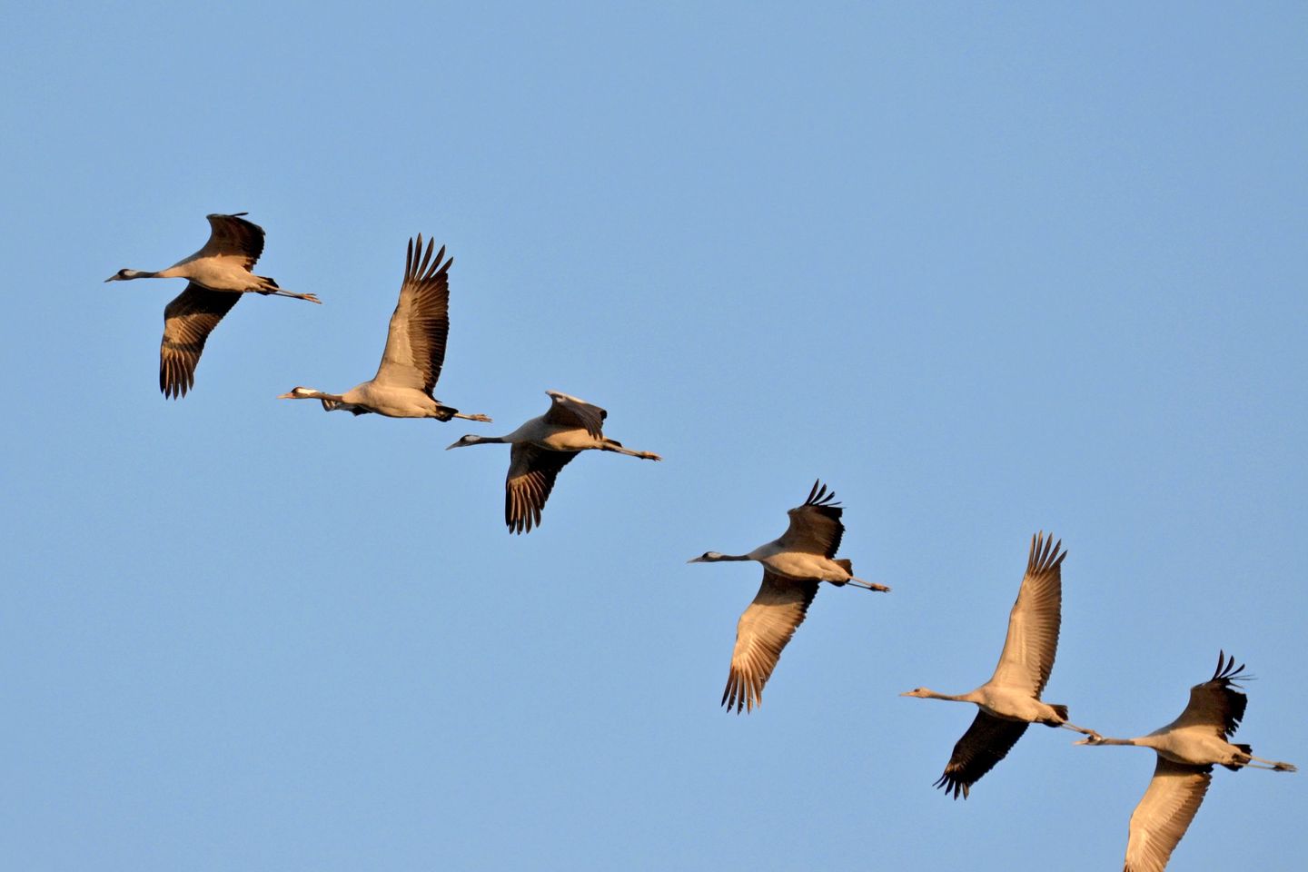  Seestrasse 54 App. 304 Deutschland - Landschaft