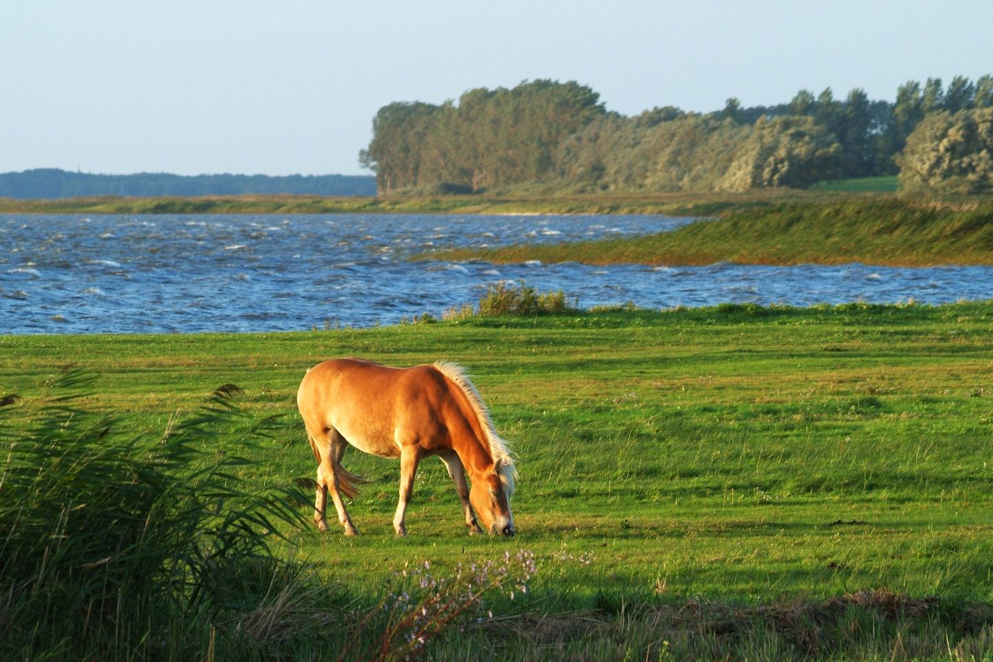  Seestrasse 54 App. 304 Deutschland - Landschaft