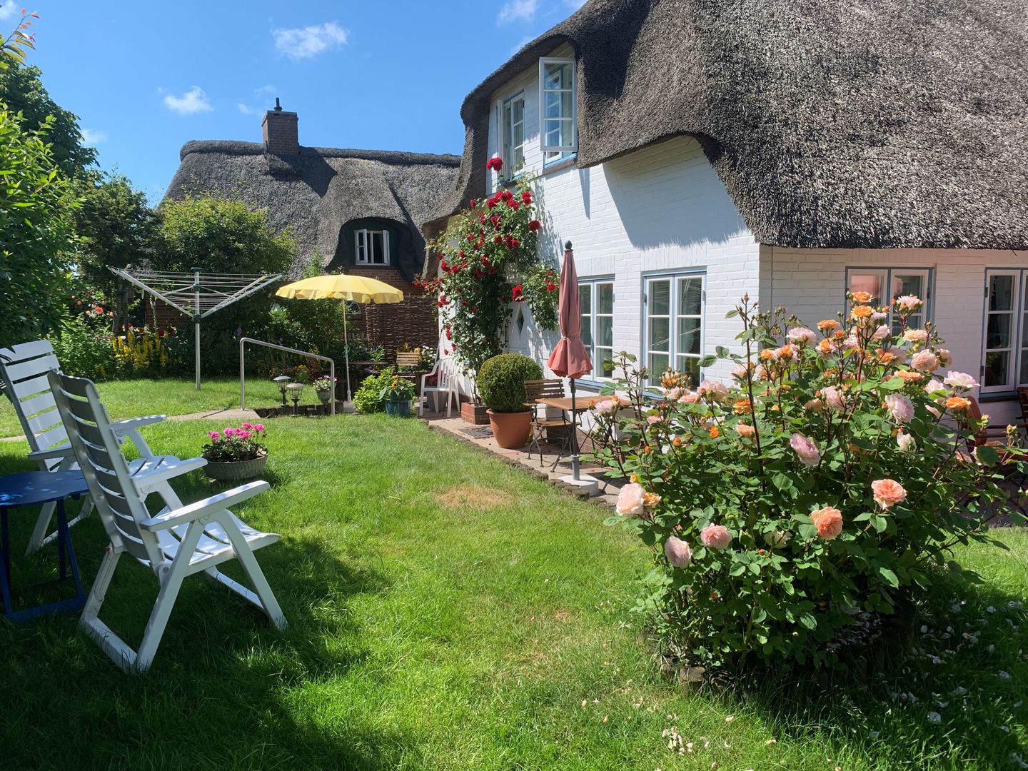 Friesenhaus Arnold Wohnen unter Reet mit Terrasse uns Garten Nebel auf Amrum - 