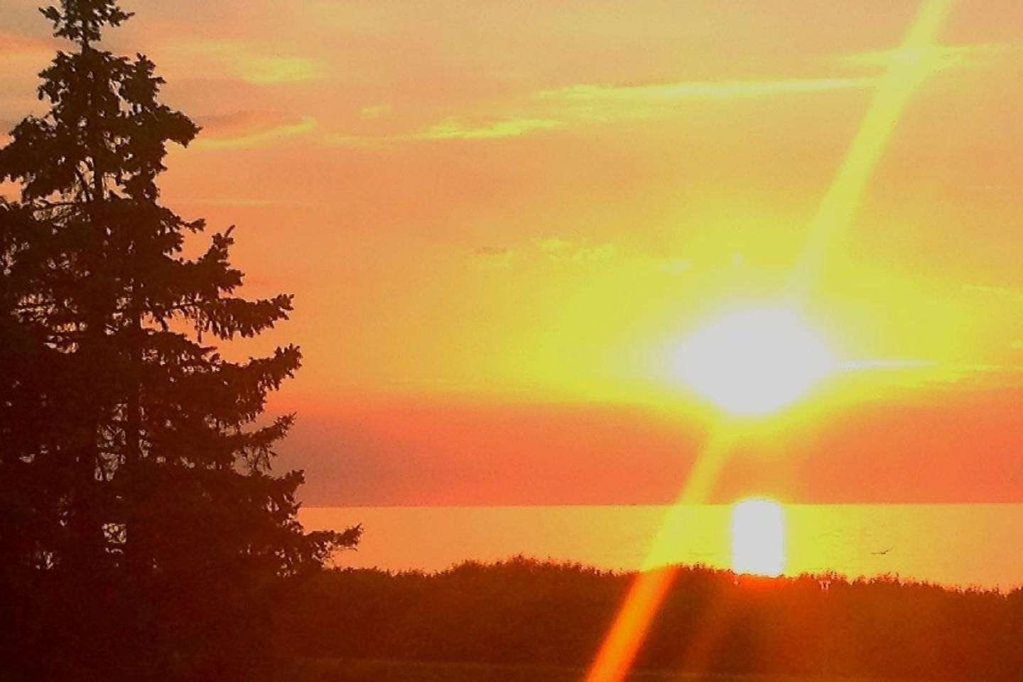 Villa Strandvogt App. Abendsonne Ostsee Börgerende-Heiligendamm - 