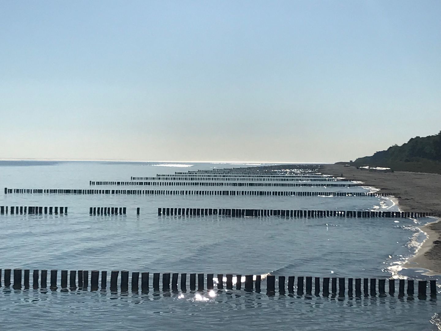  Darßer Weg 34a Whg. 5 "Haus Lummennest" Deutschland - 