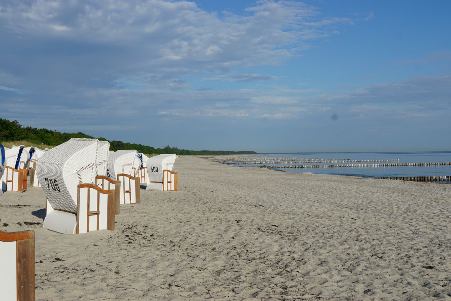  Darßer Weg 34a Whg. 5 "Haus Lummennest" Deutschland - 