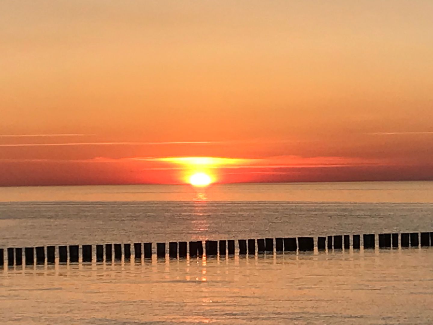  Darßer Weg 34a Whg. 5 "Haus Lummennest" Deutschland - 