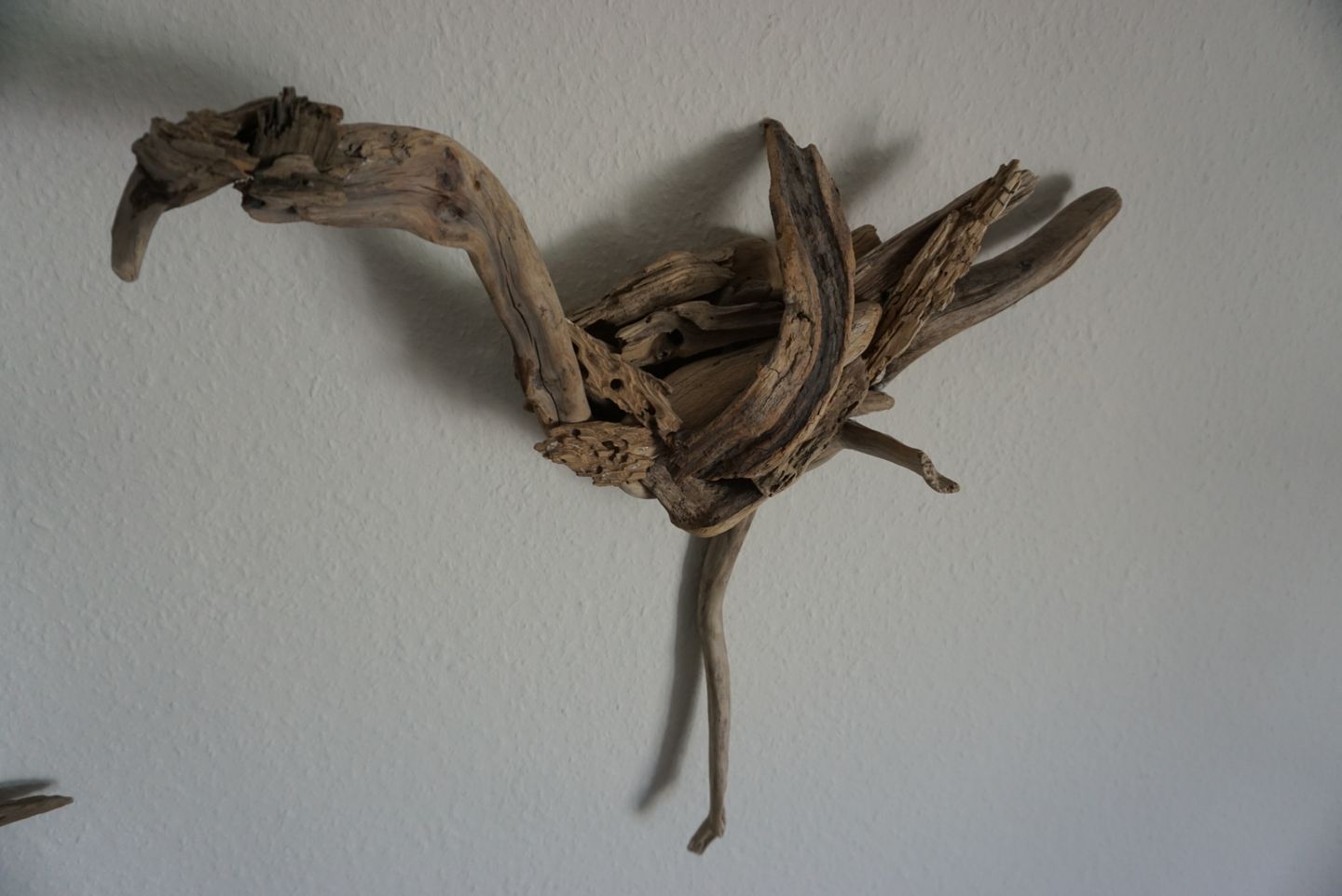  Darßer Weg 34a Whg. 5 "Haus Lummennest" Deutschland - 