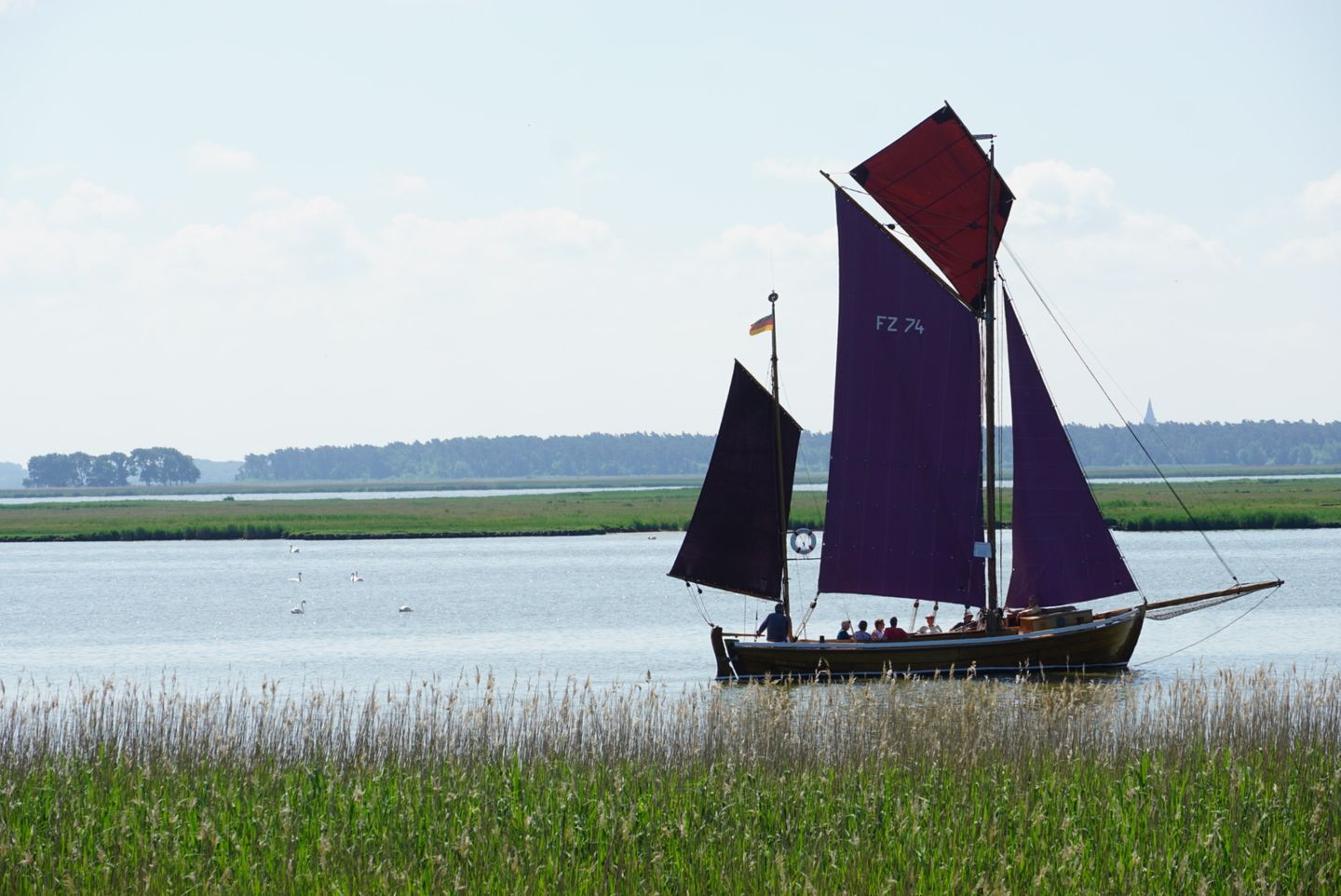  Darßer Weg 34a Whg. 5 "Haus Lummennest" Deutschland - 
