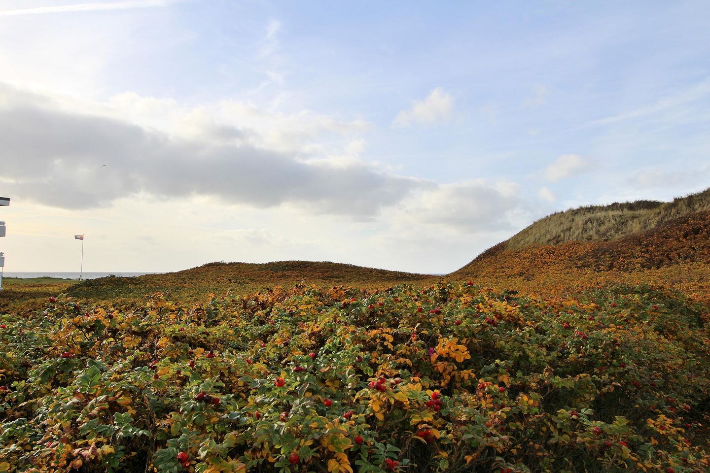  Florentian- Seedüne 4, App. 4 Wenningstedt - Gartenblick
