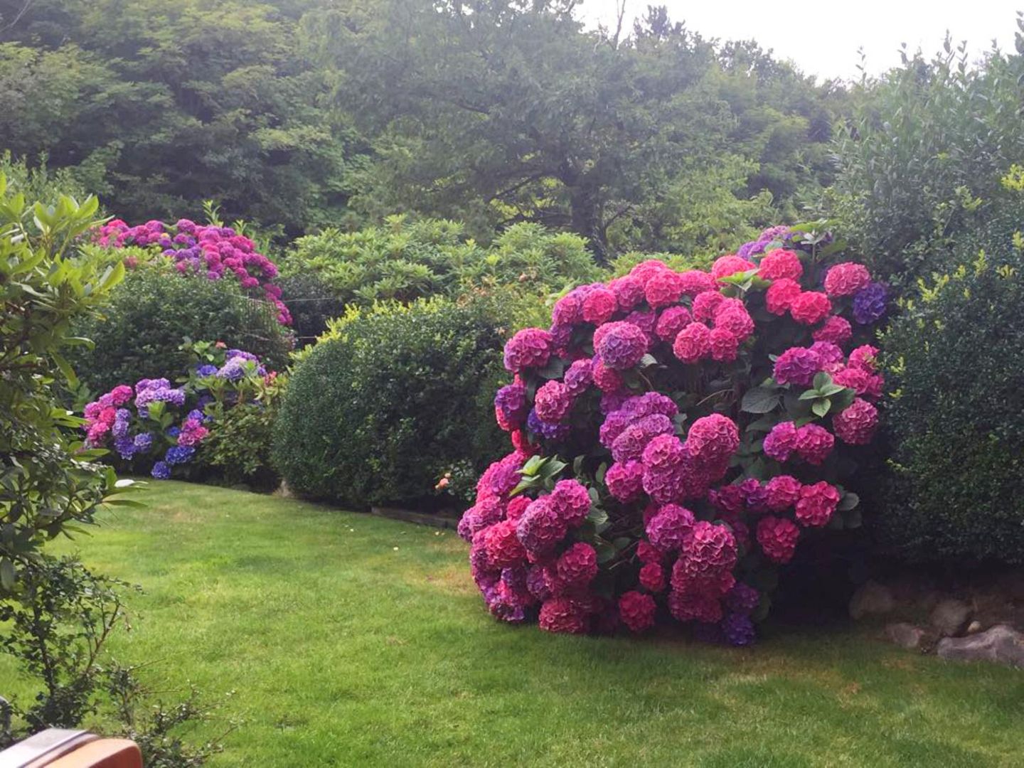 Residenz Nikolas- Grenzweg 12, App. 2 Wenningstedt - Garten