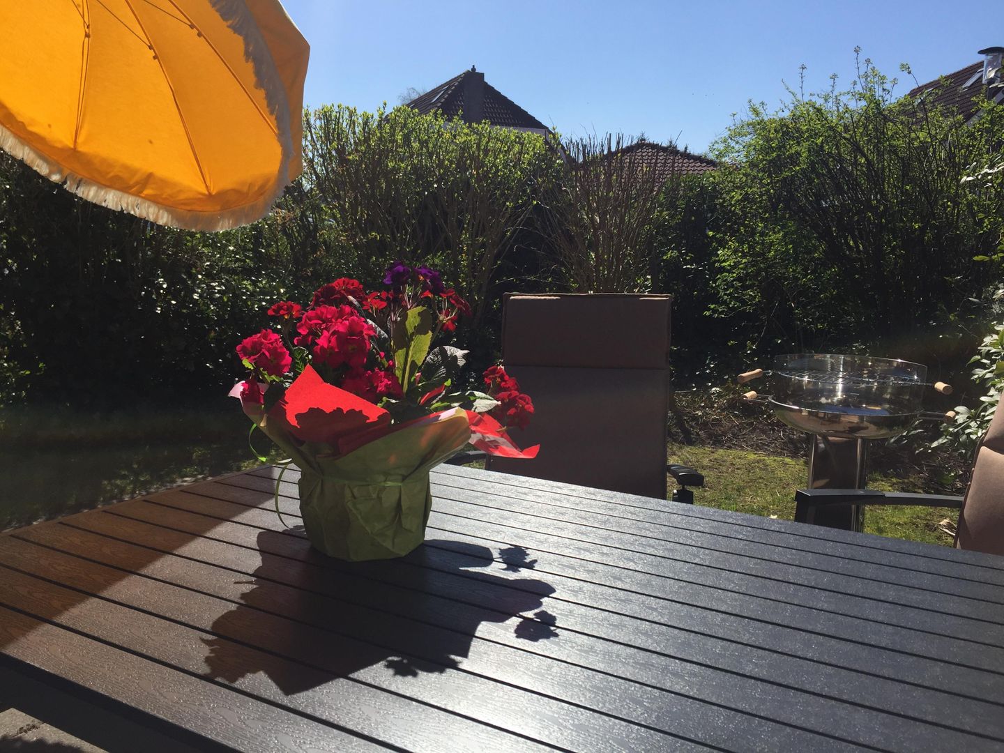  Ferienhaus Nordseeufer Carolinensiel - 