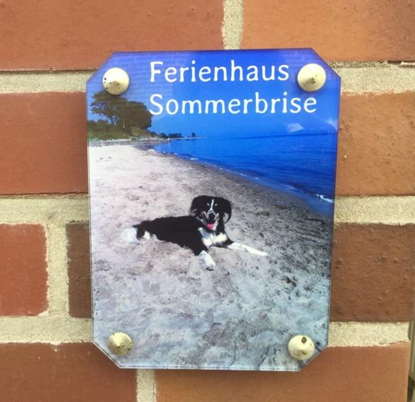  Ferienhaus Sommerbrise Mittelweg 5 Nr. 2 Carolinensiel - 