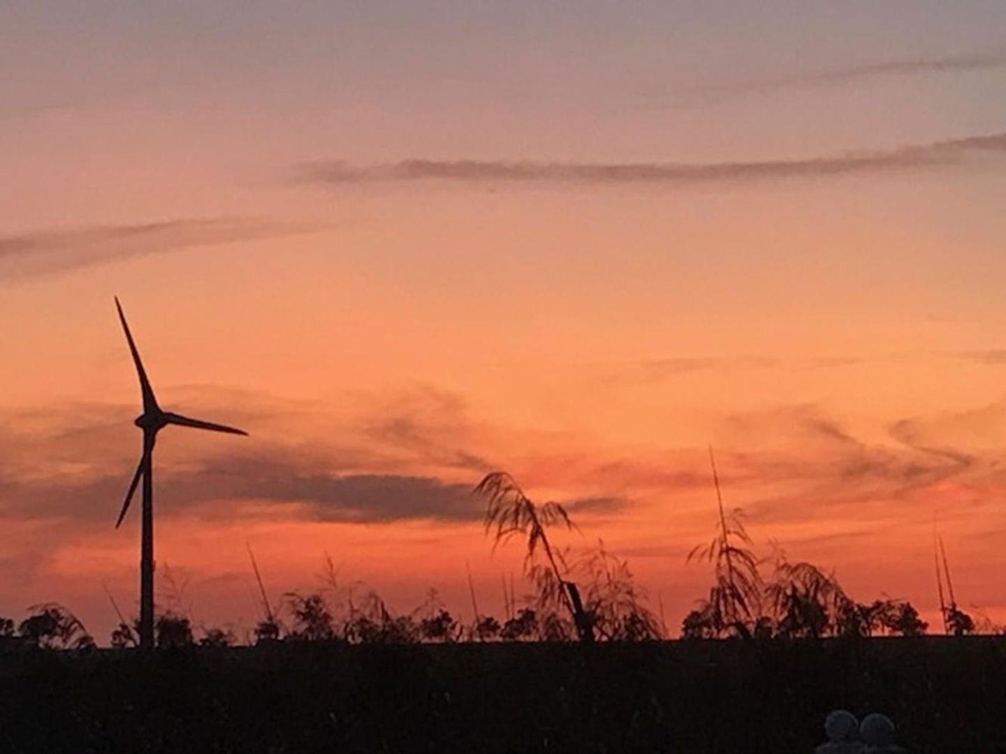  Ferienhaus Mühlenblick 12 Carolinensiel - 