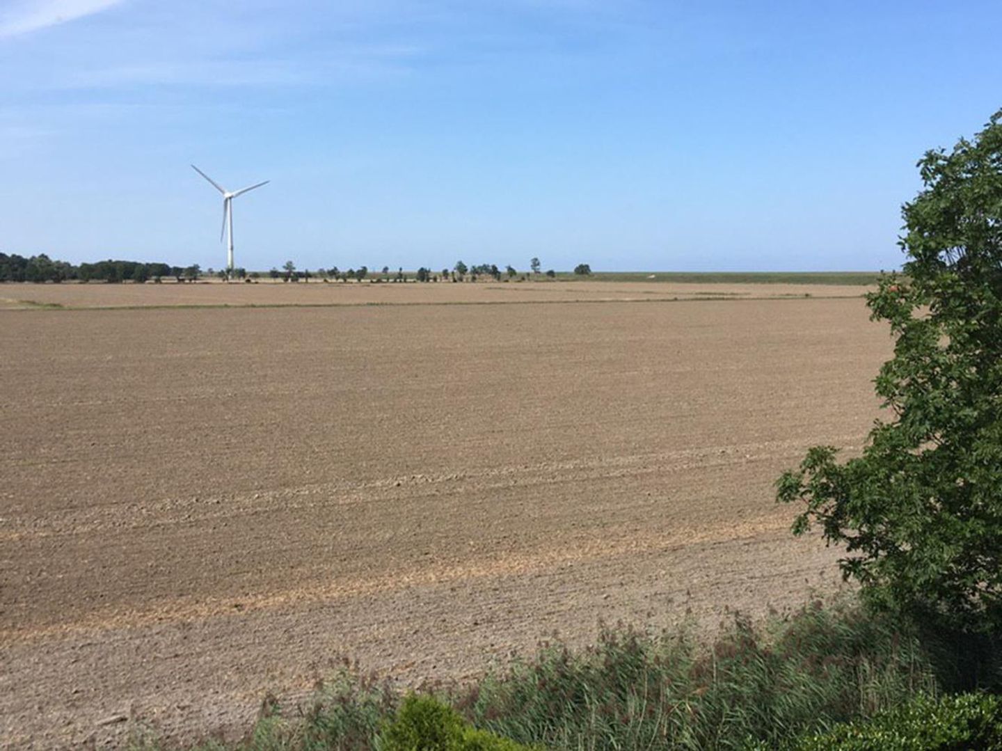  Ferienhaus Mühlenblick 12 Carolinensiel - 