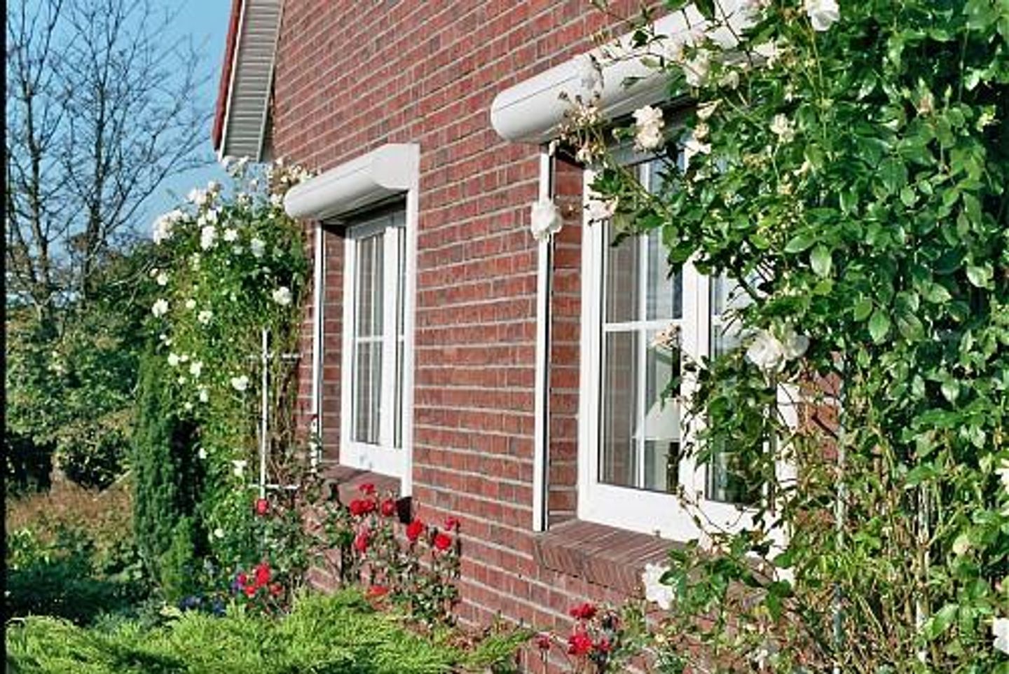  Haus Mühlenblick Carolinensiel - 