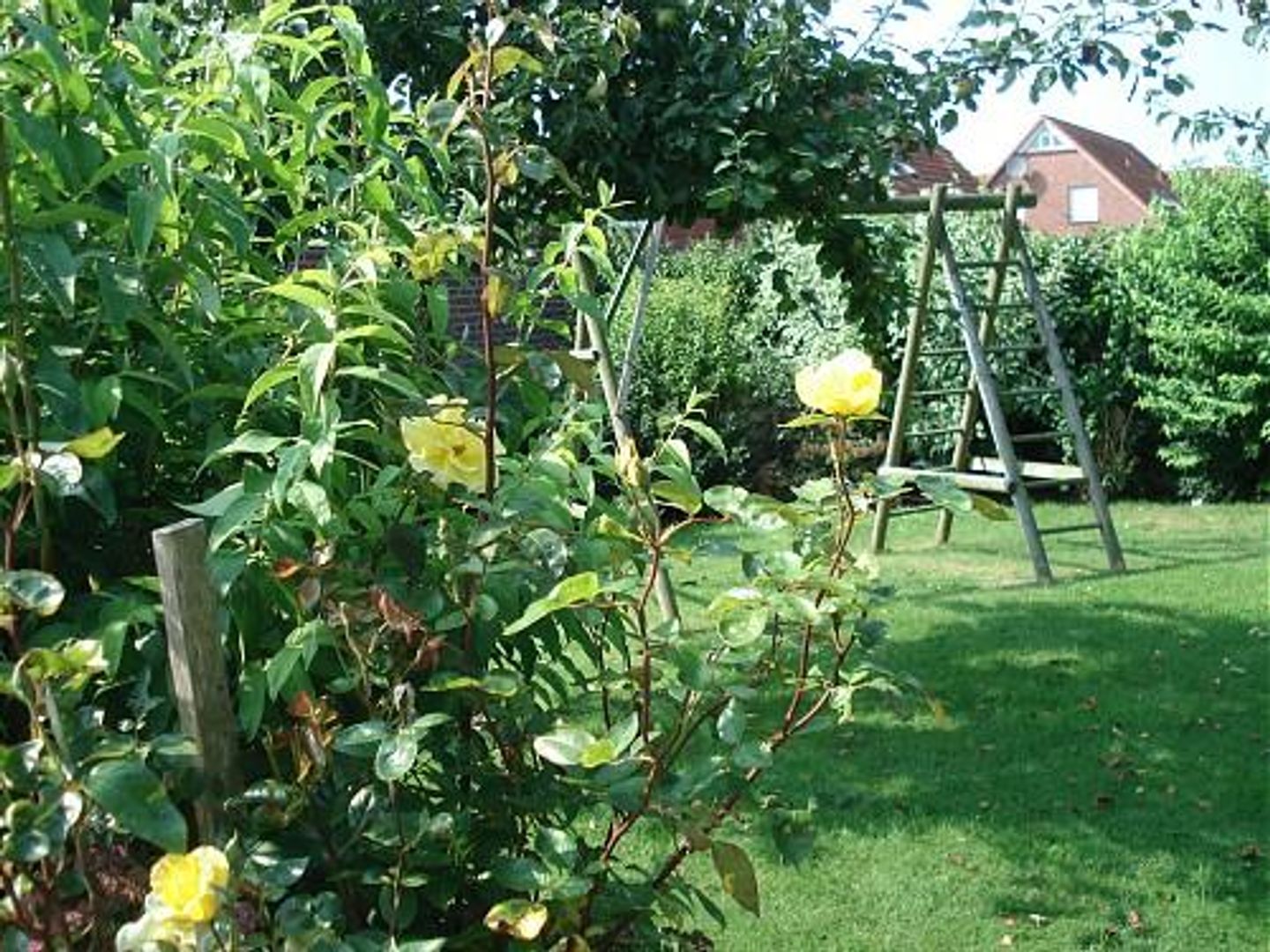  Haus Mühlenblick Carolinensiel - 