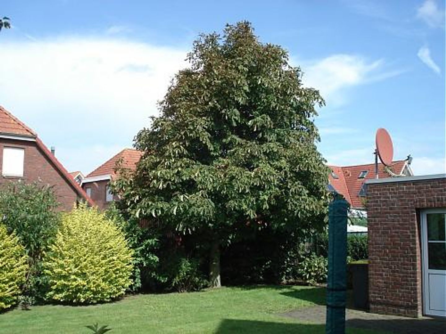  Haus Mühlenblick Carolinensiel - 