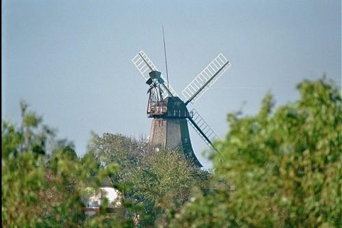  Haus Mühlenblick Carolinensiel - 