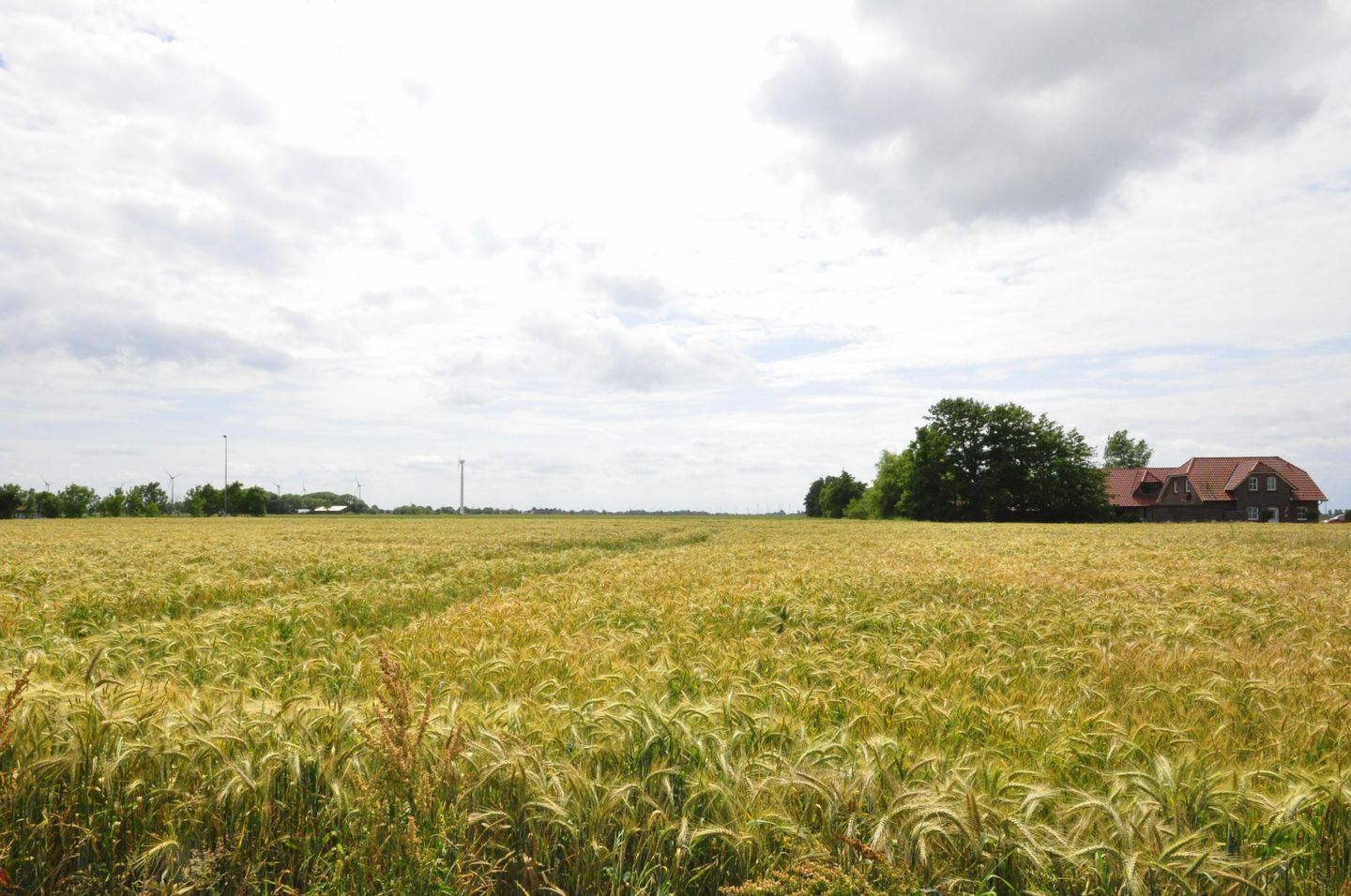  Ferienwohnung Fernblick Caspersweg 4a Carolinensiel - 