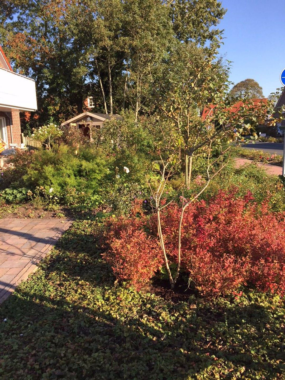 Haus Friesentraum Wohnung Nr. 5 u. 6 Tide Werdum - 