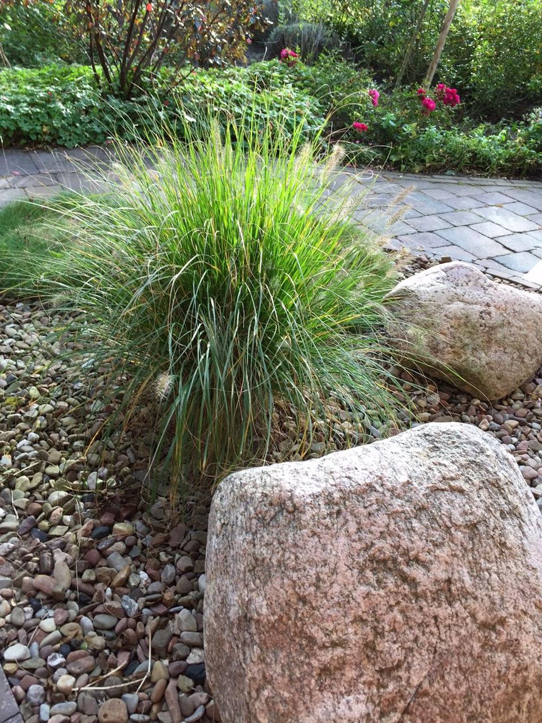 Haus Friesentraum Wohnung Nr. 5 u. 6 Tide Werdum - 