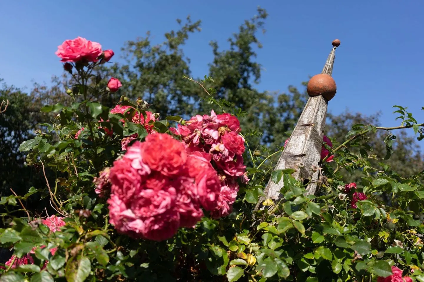 Reetdachhaus Meerzeit Reetdachhaus Meerzeit SPO Boehl - 
