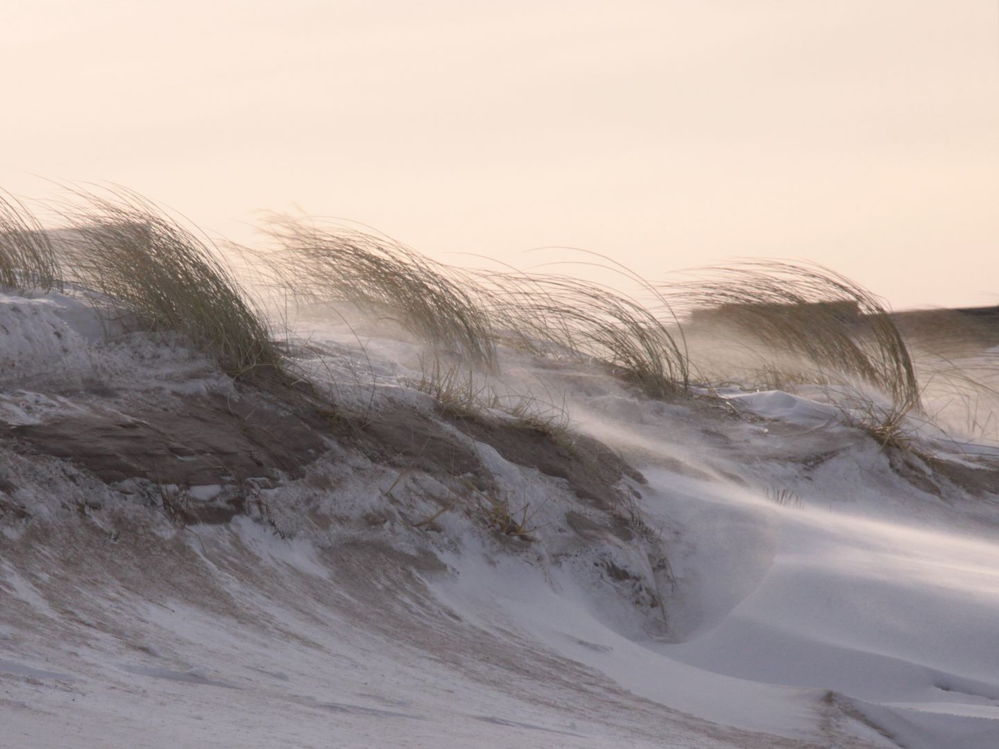 Haus Windrose App. 25b Graal-Müritz - 