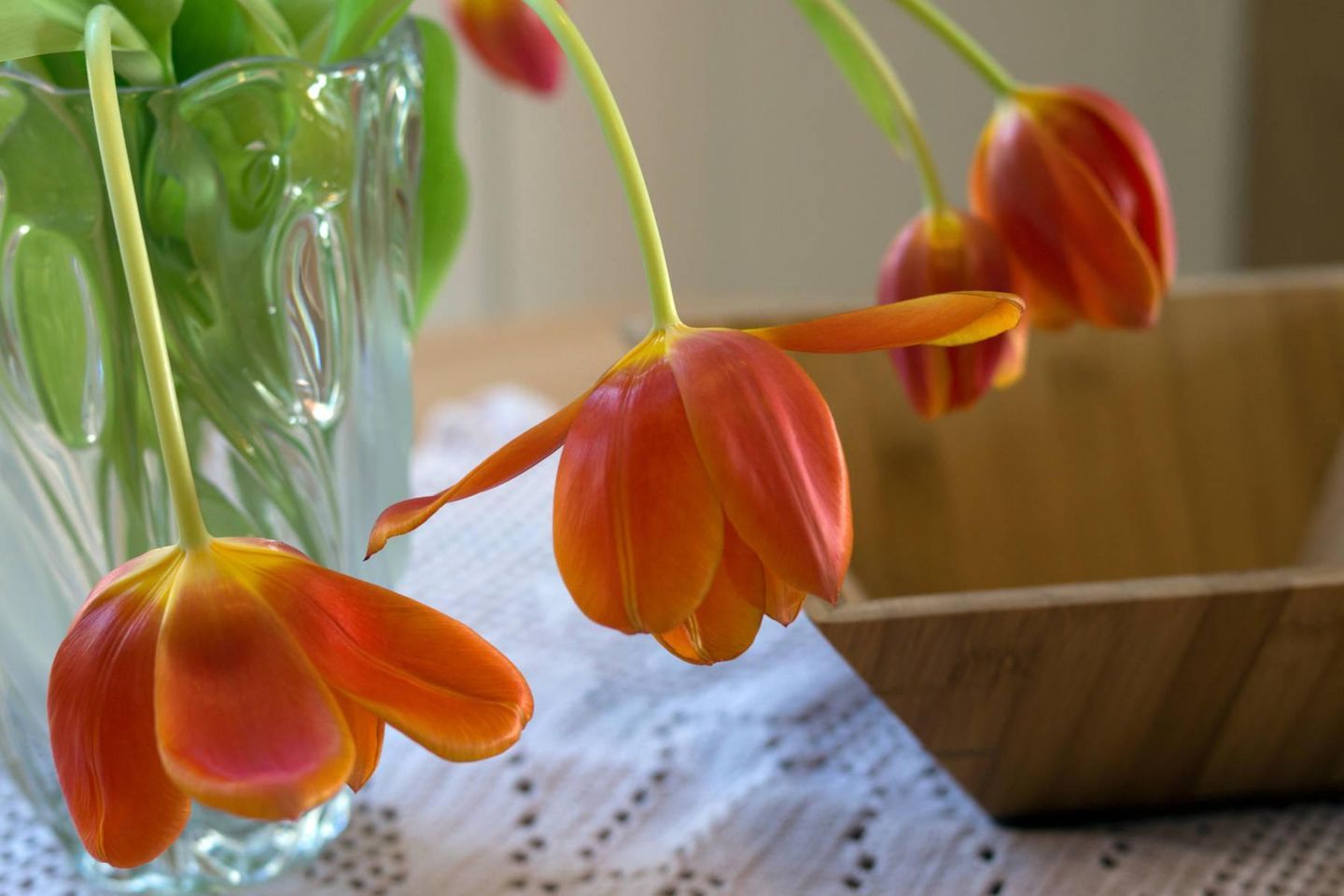  Bühler - Quetsch Norddeich - 