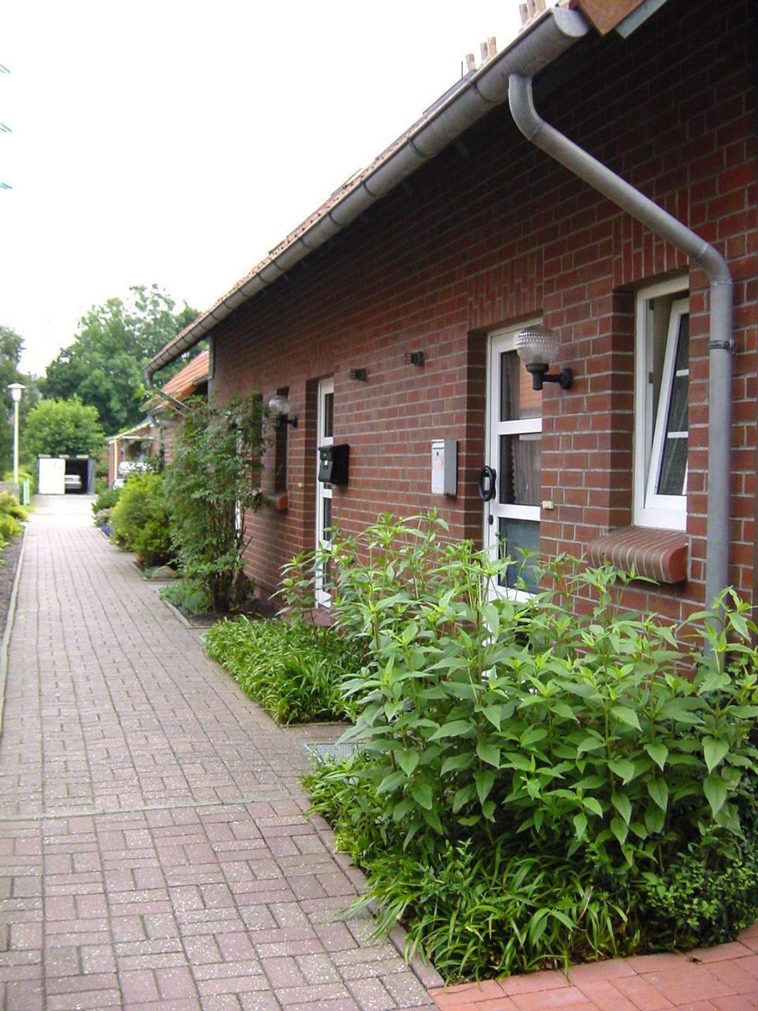  Bühler - Quetsch Norddeich - 