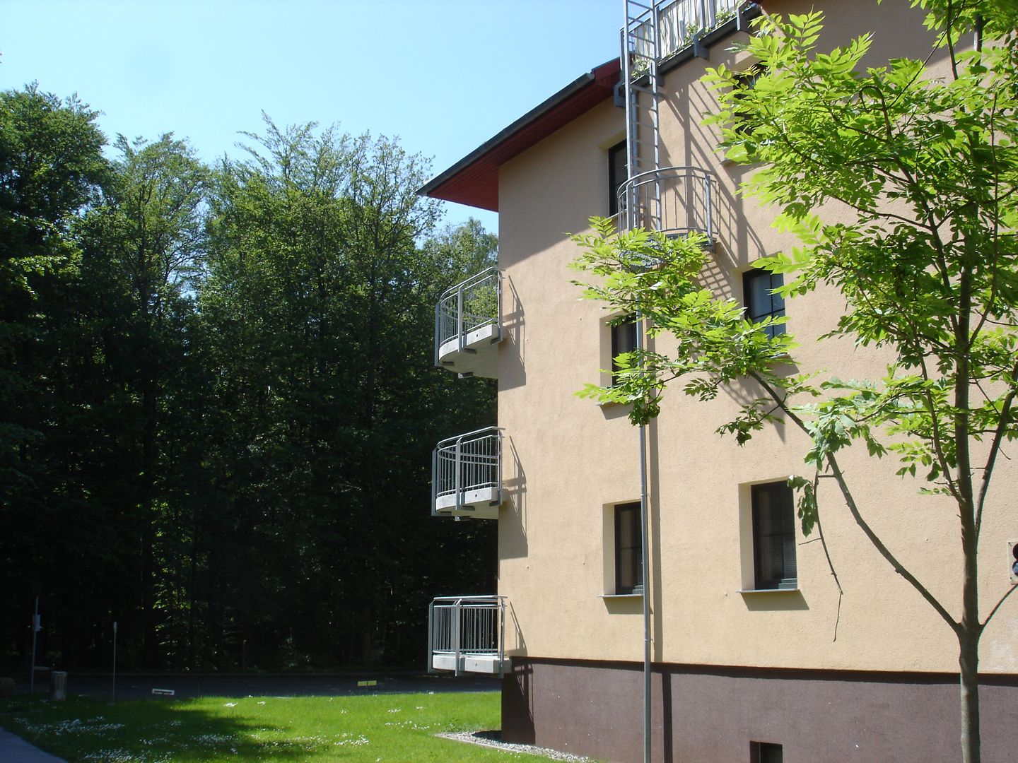 Am Waldrand App. 16 - Seeadler Nienhagen - 