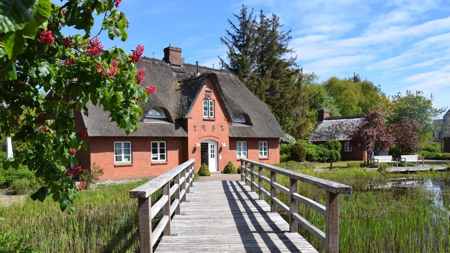 Friesenhof Whg. 12 Amrum - Gartenblick
