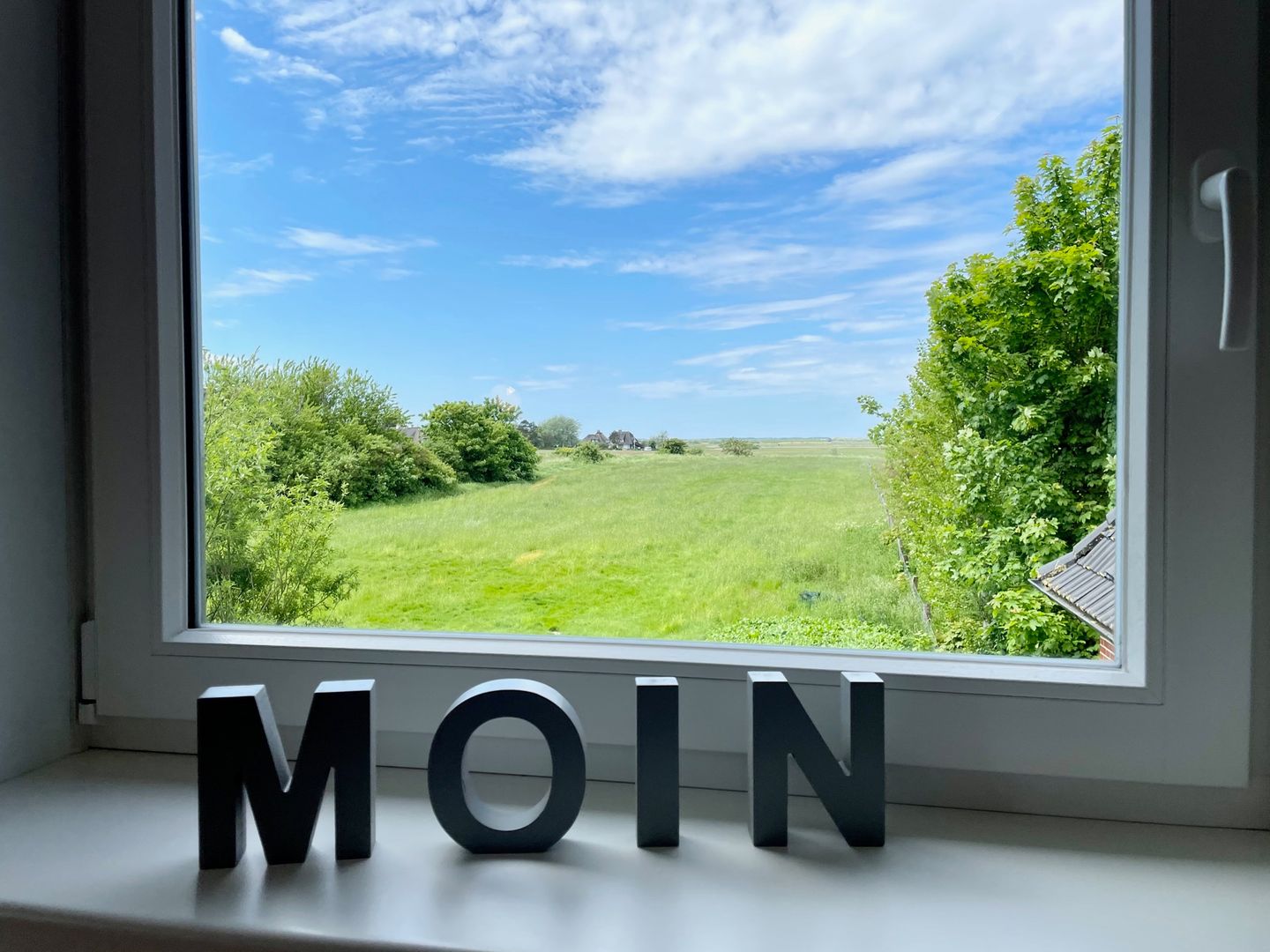  Wiesensicht Archsum - Landschaft