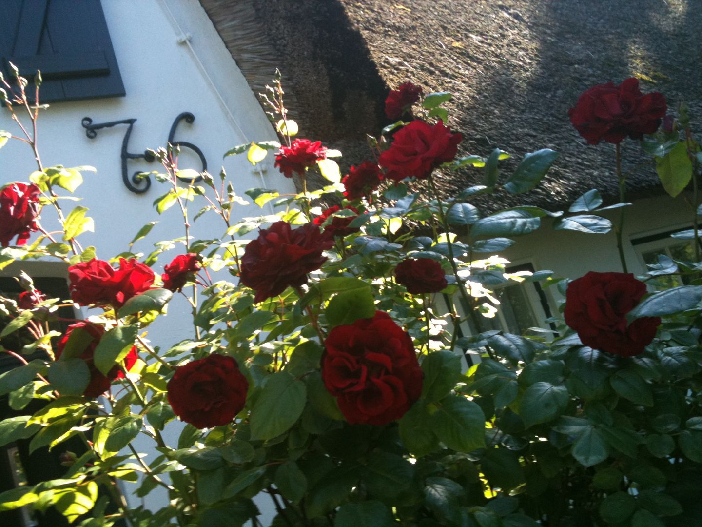 Weidemannhaus Wohnung 1 "Kapitänswohnung" Keitum - 