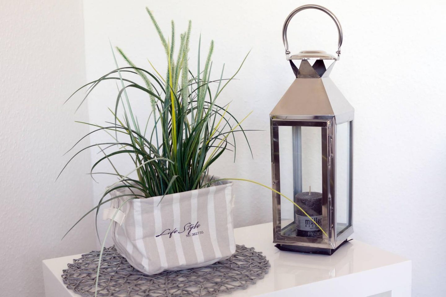  Herzmuschel Norddeich - 