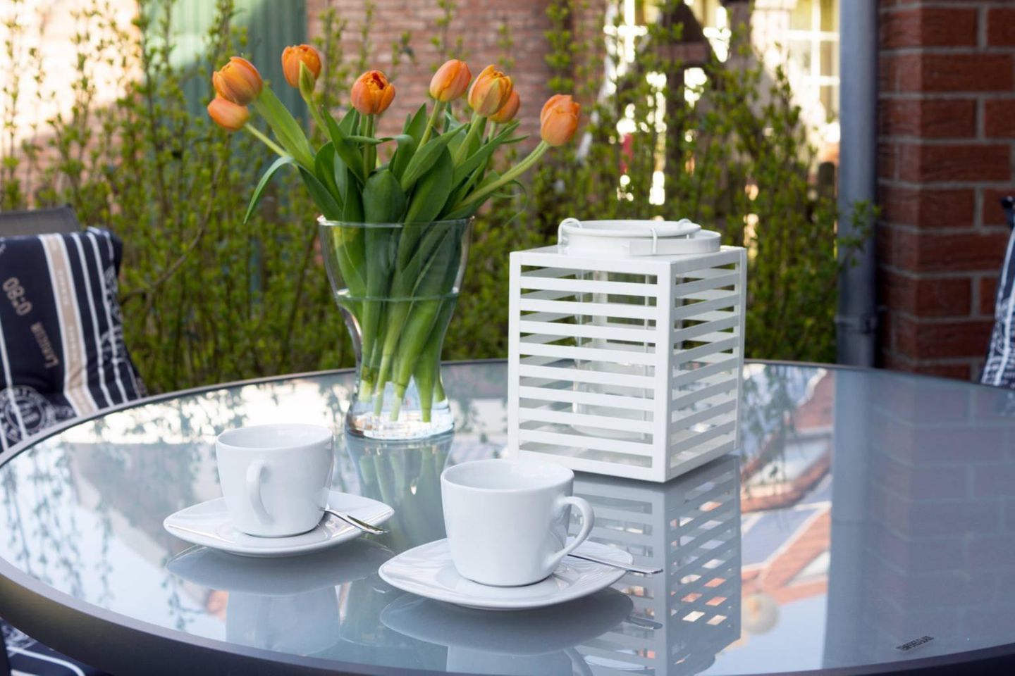  Herzmuschel Norddeich - 