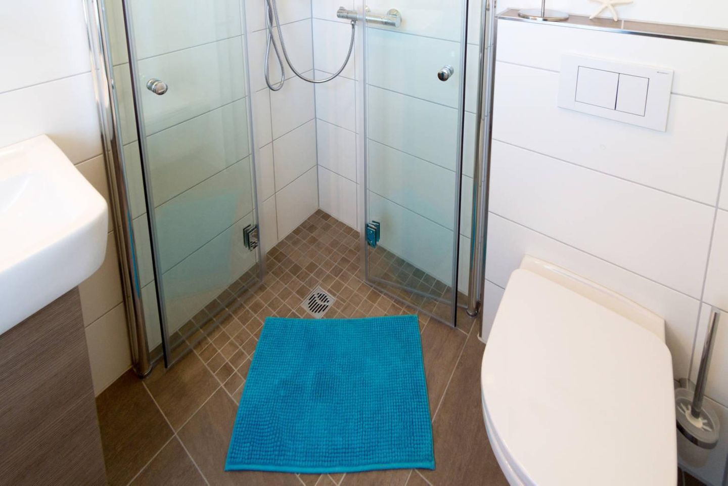  Herzmuschel Norddeich - 