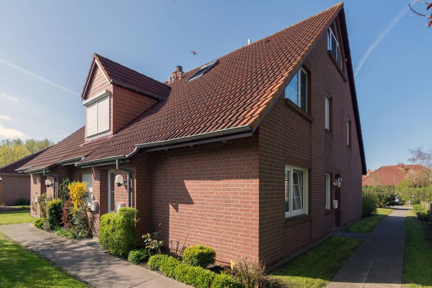  Herzmuschel Norddeich - 