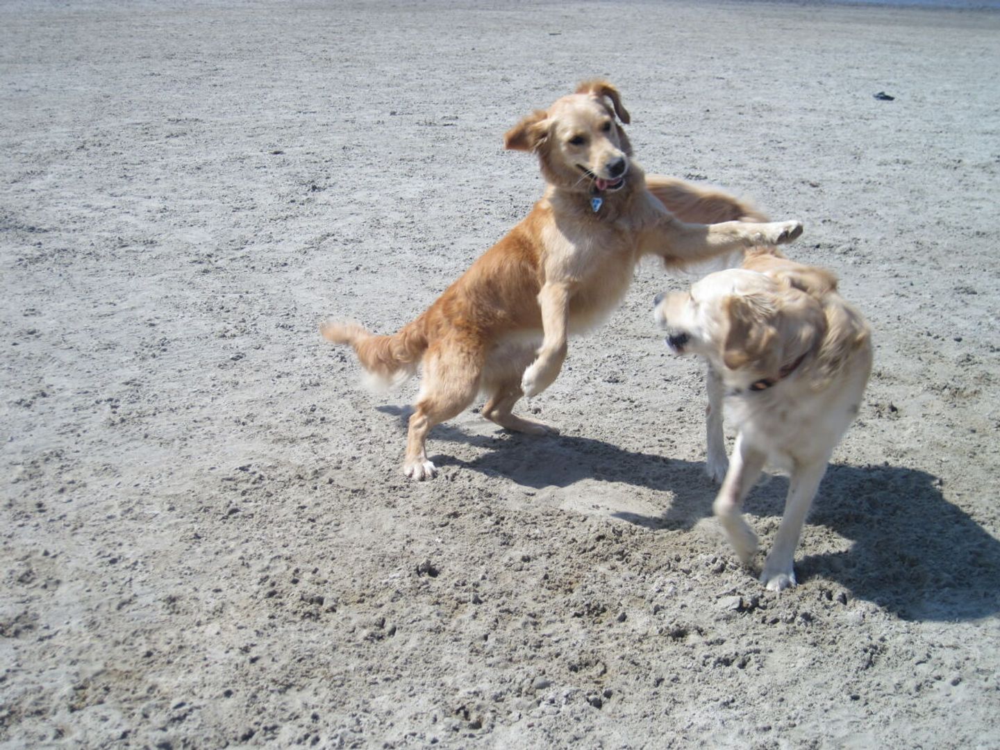  Ferienwohnung Nordsee am Strand Norddeich - 