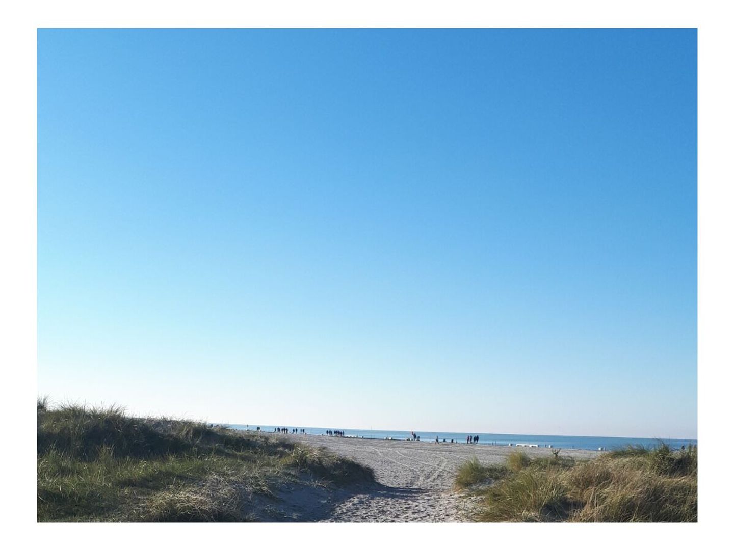  Ferienwohnung Jacobs EG  - Landschaft