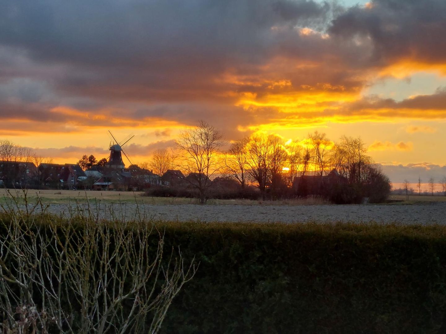  Ferienhaus Mühlenblick 41 Nr. 3 Carolinensiel - 