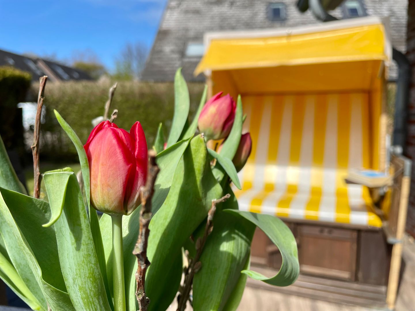  Meerblau Tinnum - Terrasse