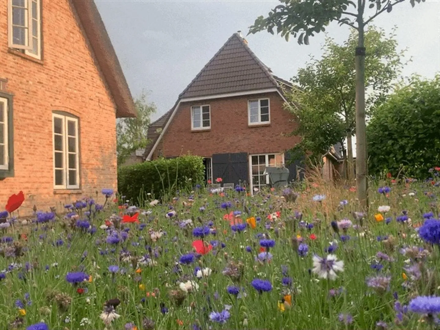 Dorf Domizil Ferienhaus Dorfremise SPO Dorf - 